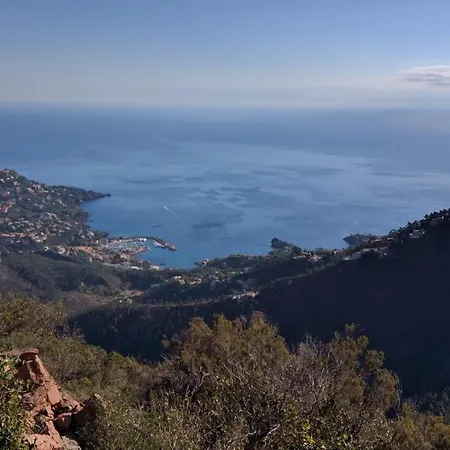 Apartment Cap Esterel Les Bastides : 3 Pieces Grande Terrasse Mer I4- Esterel Vacances 39la *